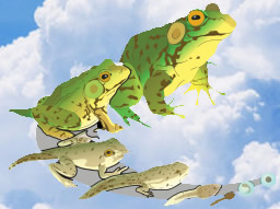 frog dream meanings